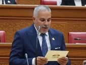 مصطفى البنا: التضامن العربي ضرورة ومصر تقف دائمًا إلى جانب أشقائها بالمنطقة