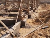 ​محافظ القاهرة يعلن بدء تنفيذ مشروع "شلتر" لإيواء الكلاب الضالة بالتبين