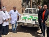 ضبط 2 طن دقيق بلدى مدعم قبل تهريبه للسوق السوداء بالفيوم