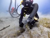 انتشال قطعة نادرة من زخارف البارثينون من حطام سفينة بعد أكثر من قرنين