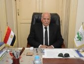 الحزب العربى الناصرى: وحدة الصف العربي خط أحمر.. والسوشيال ميديا ساحة للوقيعة