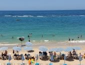 5 أماكن لقضاء عيد الفطر المبارك 2026 فى الإسكندرية.. حدائق المنتزه وأنطونيادس فى المقدمة لتناول وجبة الأسماك المملحة وسط الطبيعة.. حديقة الحيوان الأقل سعرًا.. ويوم ممتع ومتنوع داخل قلعة قايتباى الأثرية.. صور