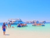 جزيرة سيال.. أيقونة السحر والجمال في البحر الأحمر