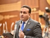 برلمانى: تحركات الرئيس السيسي تعزز دعم الأشقاء وتهدئة التصعيد الإقليمى