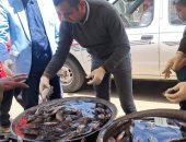 ضبط 860 كيلو جرام من اللحوم والأسماك المملحة غير الصالحة قبل عيد الفطر