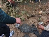 العيدية آخر ما تبقي في موقع الحادث.. قرية البستان حزينة على الأطفال ضحايا عربة الكارو