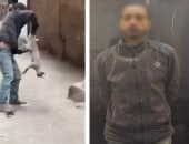 الأمن يضبط المعتدي على قطة في شبرا الخيمة    