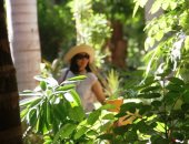 الحديقة النباتية فى أسوان 820 نوعا نادرا على مستوى العالم.. صور