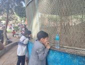 توافد الزائرين بكثافة على حديقة الحيوان فى أسيوط للاحتفال بالعيد.. فيديو وصور