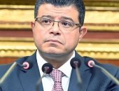 النائب محمد سليمان: زيارة الرئيس للخليج تعكس قوة الدور الإقليمي لمصر