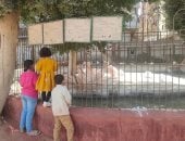 14 ألف زائر لحديقة حيوان الفيوم فى يومين
