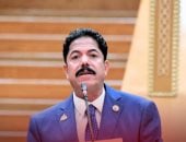 برلماني: تحركات الرئيس السيسى الخليجية تعزز الصف العربي واستقرار دول الخليج