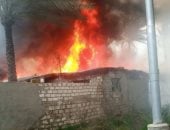 نفوق 10 آلاف دجاجة فى حريق مزرعة دواجن بكفر الشيخ.. صور