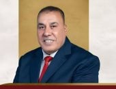 برلماني: تحركات الرئيس السيسي الخليجية تعكس قيادة واعية لحماية الأمن العربي