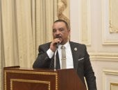 أحمد حافظ: زيارة الرئيس السيسى للبحرين والسعودية ترسخ معادلة الأمن العربي