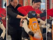 مطعم يُعيد تشغيل روبوت بعد حادث فقدان السيطرة عليه ورقصه دون توقف.. فيديو