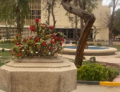 خروجة العيد فى المتحف الزراعى بالدقى بـ20 جنيها.. 8 متاحف بتذكرة واحدة