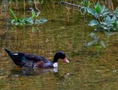 تدفق المياه ينعش وادى الحمدة بالباحة فى السعودية ويعزز جاذبيته السياحة