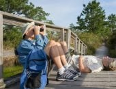 دراسات حديثة تكشف دور مراقبة الطيور فى تعزيز صحة الدماغ