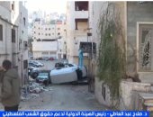 هيئة دعم فلسطين: مصر تبذل جهودا لمنع انزلاق المنطقة نحو حرب إقليمية شاملة