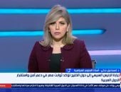 أستاذ علوم سياسية: الدعم المصري لدول الخليج يؤكد وحدة الأمن العربي 