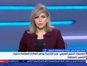 محمد ربيع الديهي: دعوات مصر لضبط النفس تهدف لمنع انزلاق المنطقة لمرحلة اللا عودة