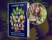كتاب جديد يكشف كيف تسيطر الأشجار على العالم؟