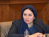 نائبة بالشيوخ تتقدم باقتراح برغبة لتعديل قانون الرؤية.. اعرف التفاصيل