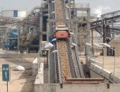 الشرقية تحقق موسما ناجحا فى حصاد بنجر السكر 2026