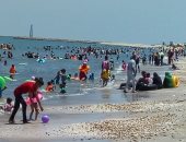 5 إجراءات استعدادًا للموسم الصيفي في مدينة بورفؤاد بـ محافظة بورسعيد