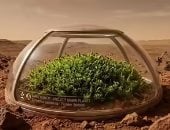 علماء يكتشفون نباتا قادرا على البقاء على سطح المريخ والمساهمة فى خلق «كوكب أخضر»