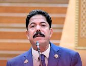 برلمانى: جهود مصرية مكثفة بتوجيهات الرئيس السيسى لإنهاء الحرب 