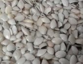 البكلويز وأم الخلول.. أكلات بحرية شتوية تميز الموائد في دمياط.. فيديو 