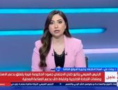 خبيرة أسواق الطاقة: القيادة المصرية لديها نهج تكتيكى فى ملف الاستثمار