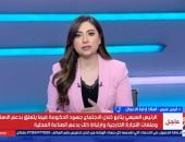 أستاذ إدارة أعمال: الملف الاقتصادي وتوفير حياة كريمة الشغل الشاغل للرئيس السيسي