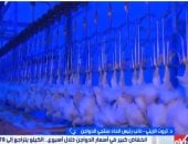 ثروت الزيني: تراجع أسعار الدواجن لـ78 جنيها بسبب زيادة المعروض