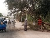 محافظ سوهاج: فرق الطوارئ تنجح فى التعامل مع سقوط أعمدة كهرباء وأشجار
