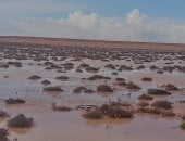 أمطار الخير على مطروح تروى الزراعات وتملأ الآبار.. فرق الطوارئ بشركة مياه الشرب والصرف الصحى ومجالس المدن تزيل تجمعات المياه.. استعدادات اجهزة المحافظة تحتوى آثار الأمطار وتقلبات الطقس