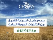 الهيئة الإنجيلية تحذر مزارعى القمح من التقلبات الجوية وتصدر توصيات عاجلة