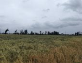 طقس غائم متقلب مع​ أمطار رعدية أحيانا ​وفرص تساقط ثلوج بمحافظة الشرقية