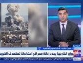 أستاذ علوم سياسية: التضامن المصرى مع الكويت يعكس قوة العلاقات العربية