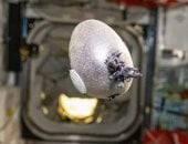 رائد فضاء ناسا يزرع بطاطس بلون «بنفسجى» على متن محطة الفضاء الدولية