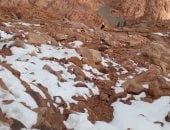 أمطار وثلوج فى سانت كاترين.. طقس شديد البرودة بجنوب سيناء..فيديو وصور