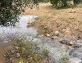 سيول متفرقة فى شمال سيناء نتيجة تراكم مياه الأمطار.. فيديو