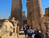 السياحة في الأقصر بخير وآمان.. أجواء وزيارات من حول العالم فى طريق الكباش ومعبد الأقصر.. الأفواج يلتقطون الصور التذكارية بالمعالم المختلفة.. وبريطاني يفاجئ صديقته بخاتم الزواج أمام معبد الملكة حتشبسوت.. صور
