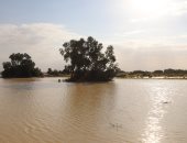 تدفق السيول نتيجة الأمطار باتجاه سد الروافع ووادي العريش.. صور