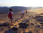 سفاري بحيرة ناصر.. تجربة استثنائية بين الطبيعة البكر وسكون الجنوب