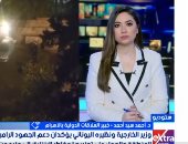 خبير علاقات دولية: مصر قوة استقرار وداعم أساسي للتهدئة في منطقة الشرق الأوسط