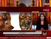 باحثة بجامعة المنصورة توضح تفاصيل اكتشاف نوع جديد من أسلاف القردة