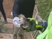 إنقاذ قطة محتجزة داخل حفرة بعمق 2 متر فى التجمع.. فيديو وصور